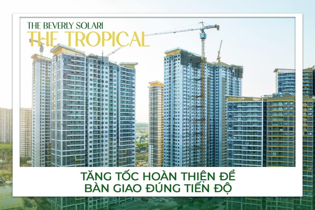 Tiến độ triển khai The Tropical